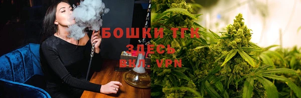 дурь Зеленокумск