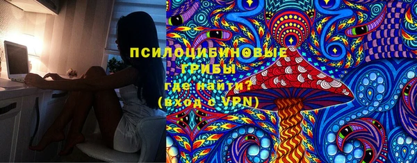 ешки Струнино