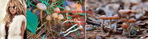 молекула духа Зеленодольск