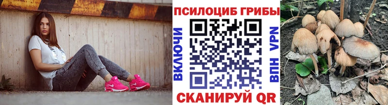 Галлюциногенные грибы MAGIC MUSHROOMS  Любань 